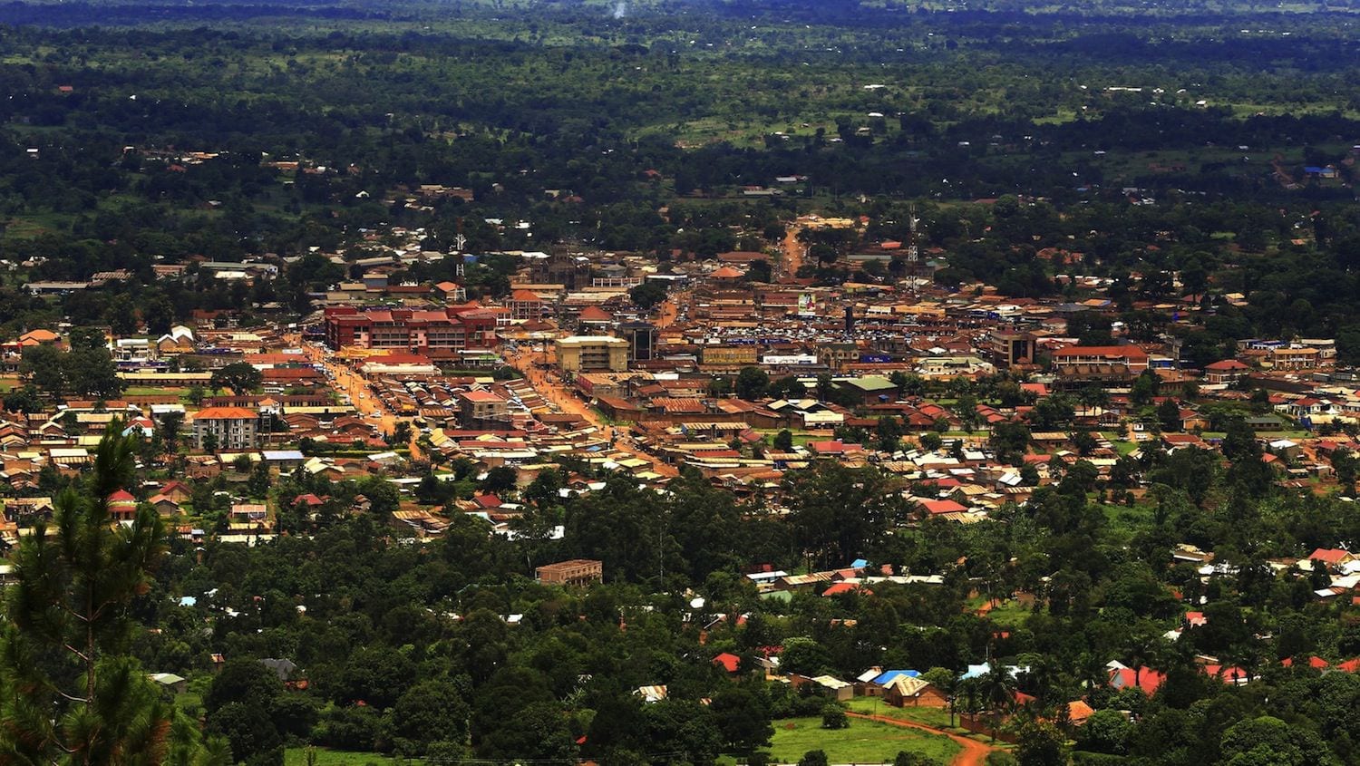 Hoima