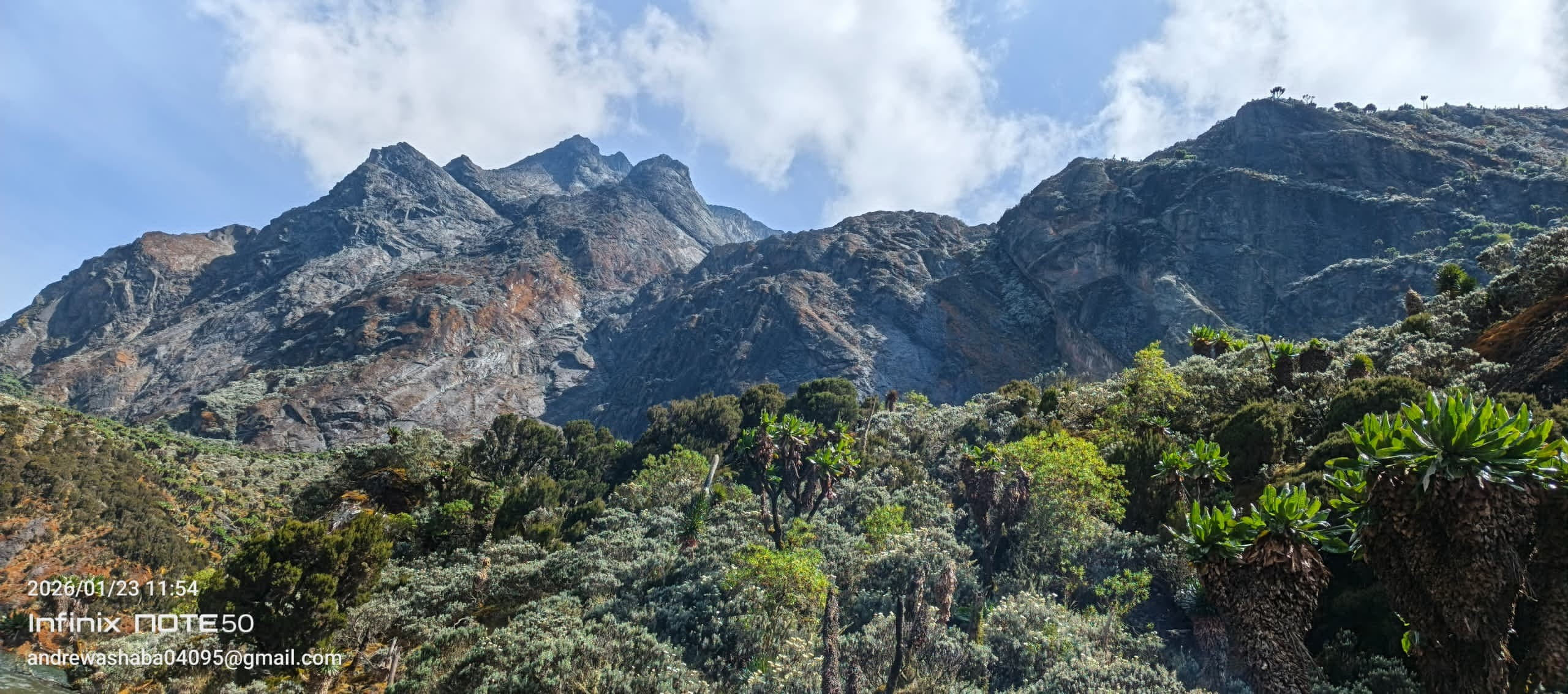 RWENZORI: Where the Mountains Whisper to the Clouds