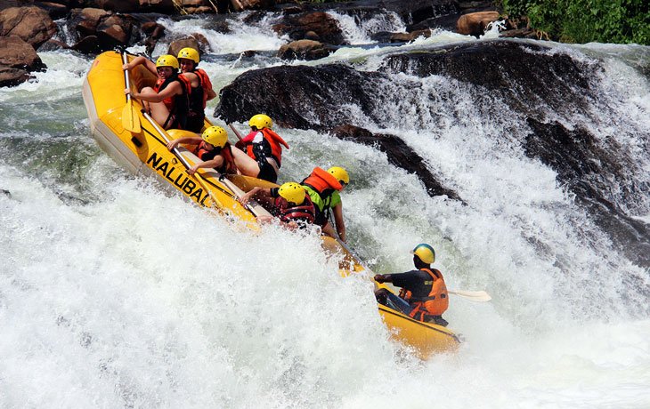 Top 7 Must-See Wildlife Experiences in Uganda