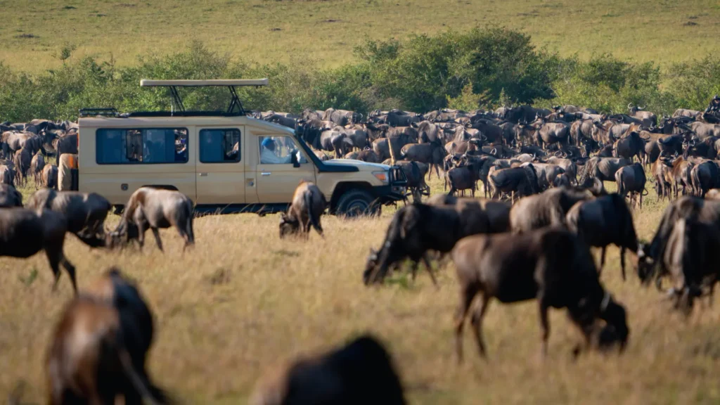 Tanzania’s Great Migration Witness Nature’s Spectacle