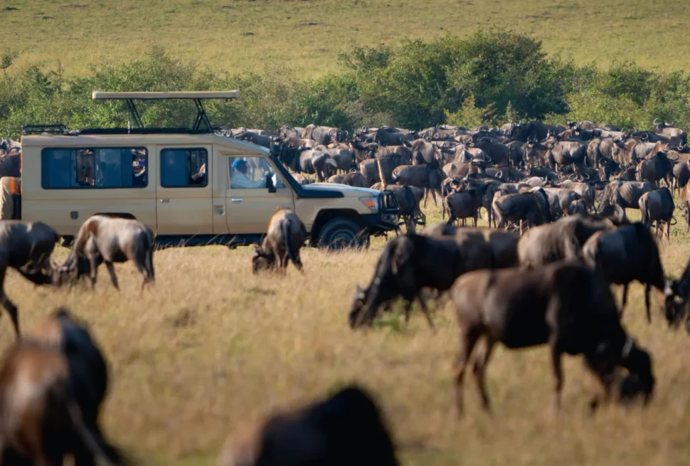 Tanzania’s Great Migration Witness Nature’s Spectacle