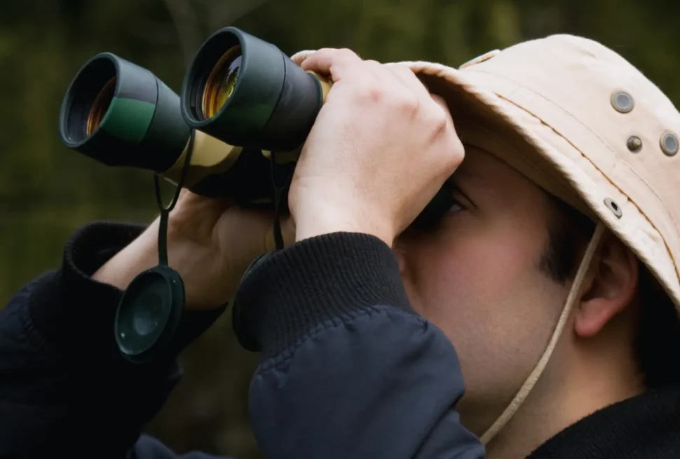 Birdwatching in Rwanda A Birder’s Haven