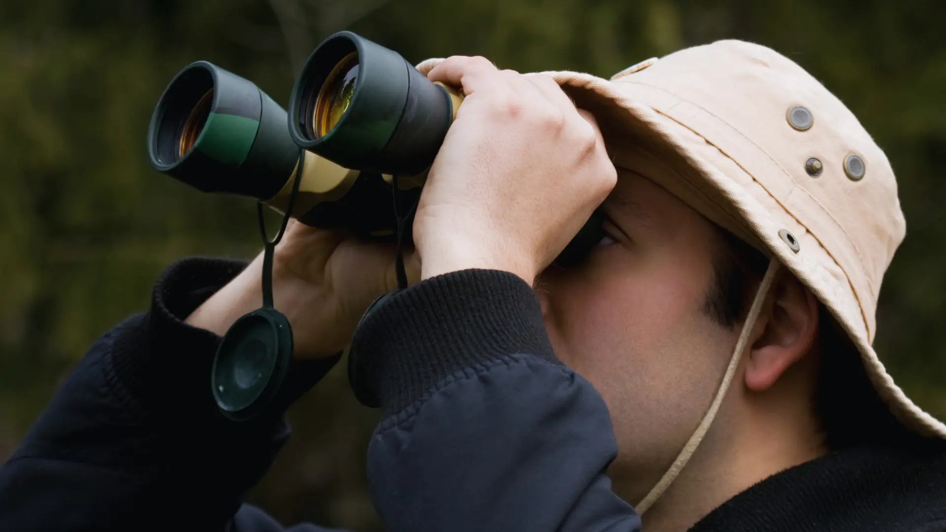 Birdwatching in Rwanda A Birder’s Haven