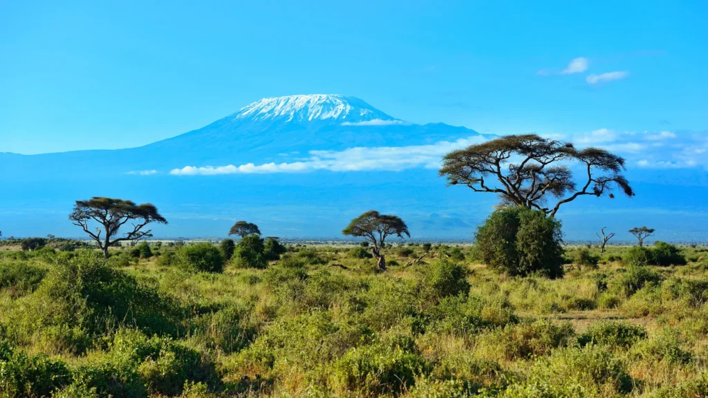 A picture of Amboseli National Park