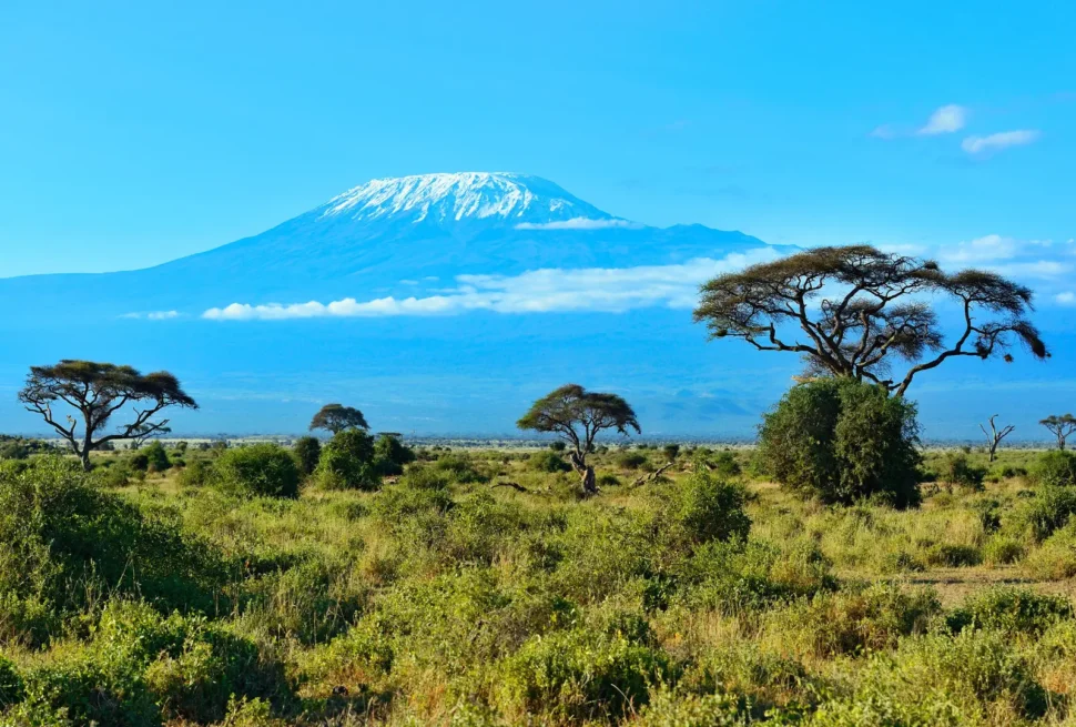 A picture of Amboseli National Park