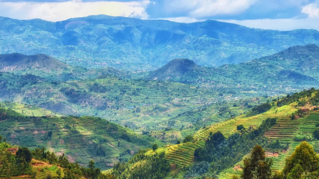 Rwanda’s Conservation Efforts Protecting the Land of a Thousand Hills