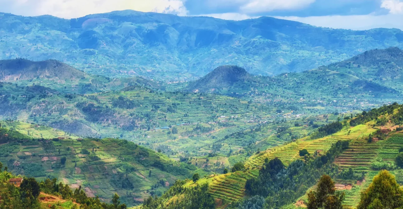 Rwanda’s Conservation Efforts: Protecting the Land of a Thousand Hills