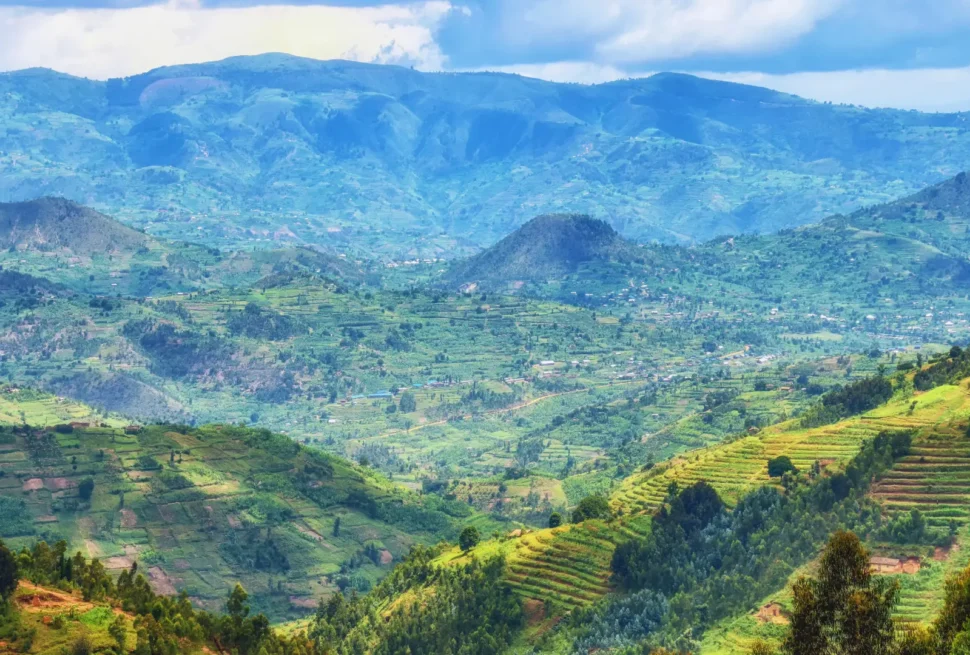 Rwanda’s Conservation Efforts Protecting the Land of a Thousand Hills