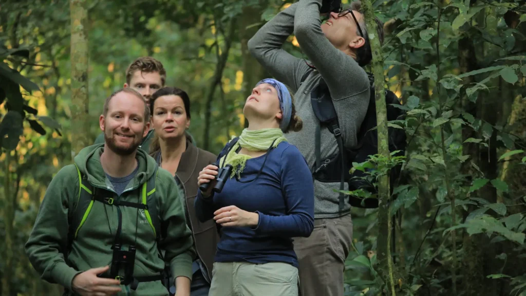 The Ultimate Adventure Gorilla Trekking in Uganda’s Bwindi Impenetrable Forest