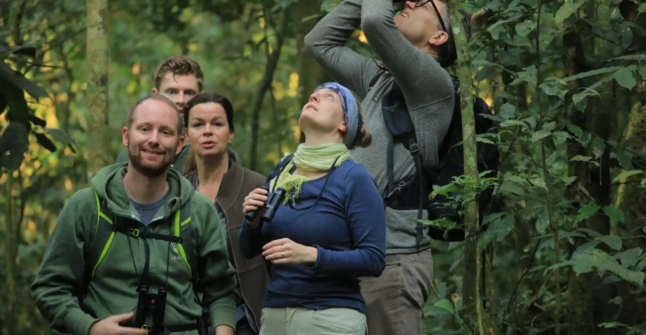 The Ultimate Adventure: Gorilla Trekking in Uganda’s Bwindi Impenetrable Forest