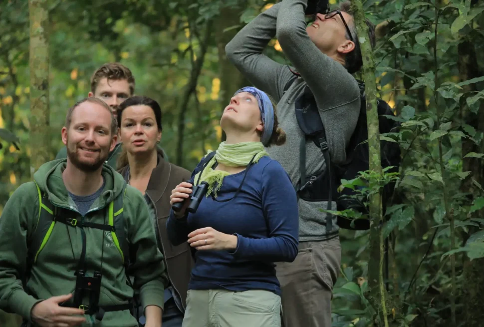 The Ultimate Adventure Gorilla Trekking in Uganda’s Bwindi Impenetrable Forest