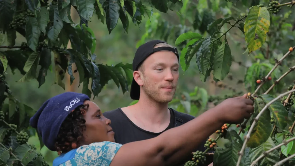 Discover the story behind Uganda's renowned coffee industry. From the lush coffee plantations to the vibrant local markets, immerse yourself in the rich flavors and cultural significance of Ugandan coffee