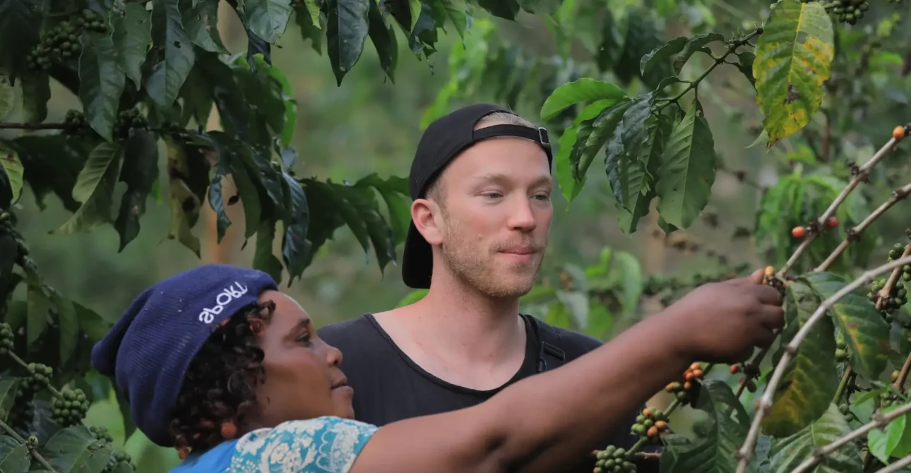 Uganda’s Coffee Culture: A Rich Blend of Tradition and Taste