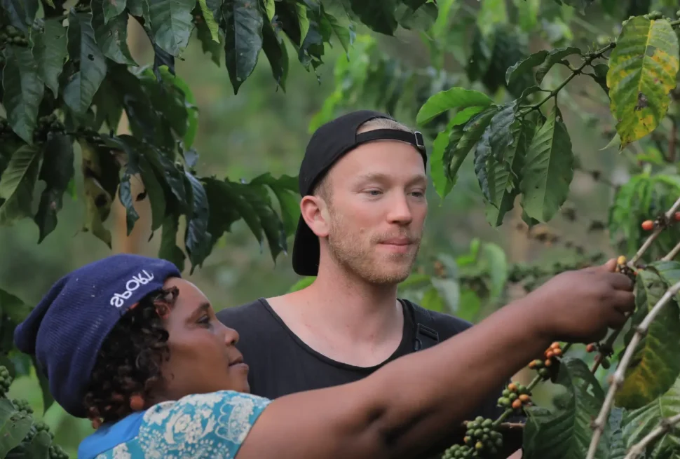 Discover the story behind Uganda's renowned coffee industry. From the lush coffee plantations to the vibrant local markets, immerse yourself in the rich flavors and cultural significance of Ugandan coffee