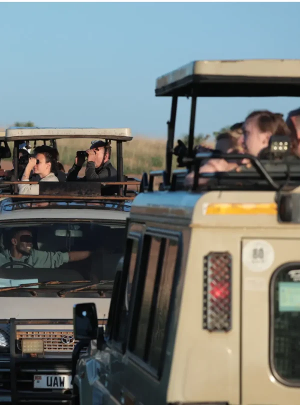 Tourists on a game drive