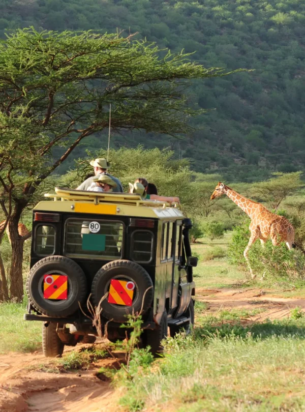 Tourists on a cross border safari